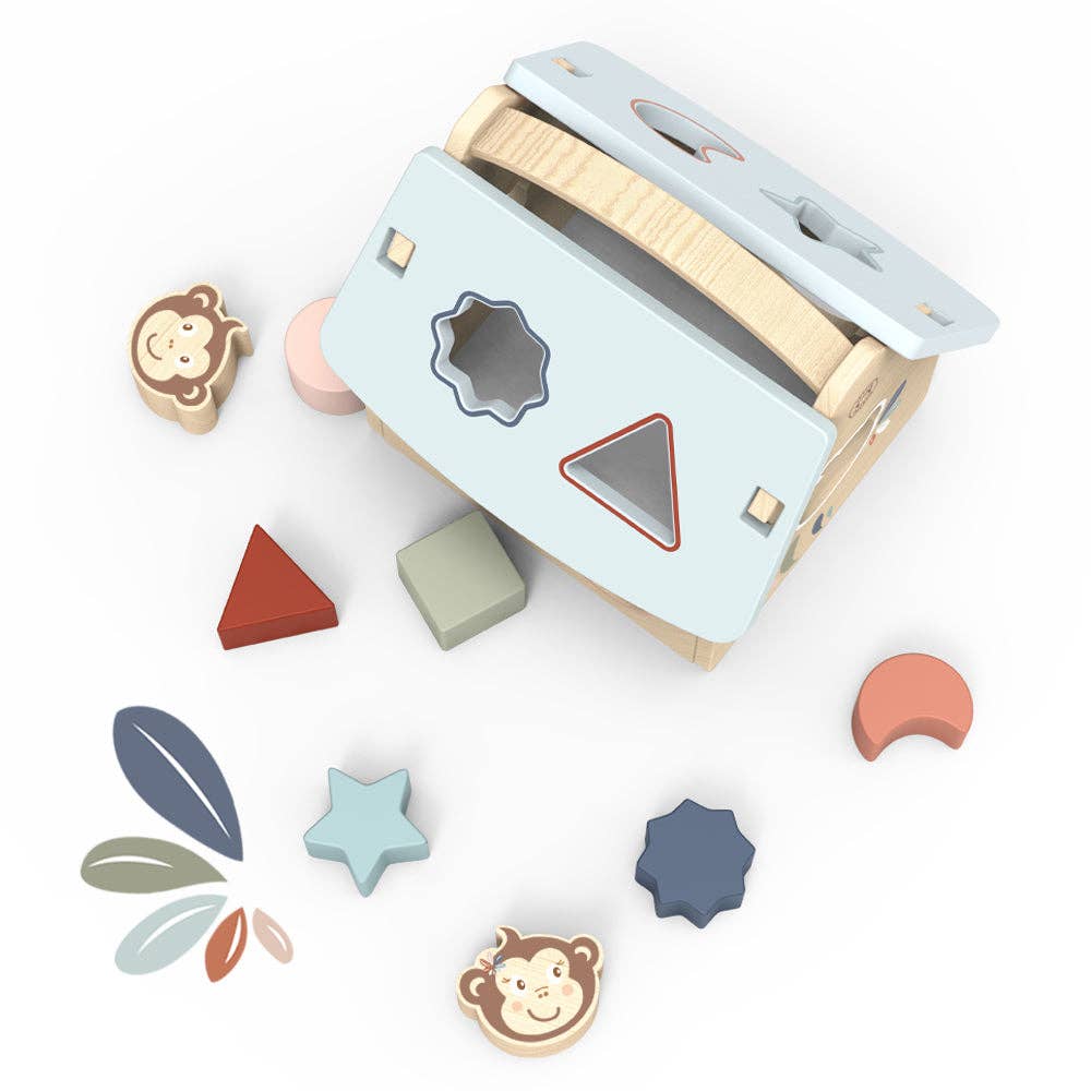 House store shape sorter